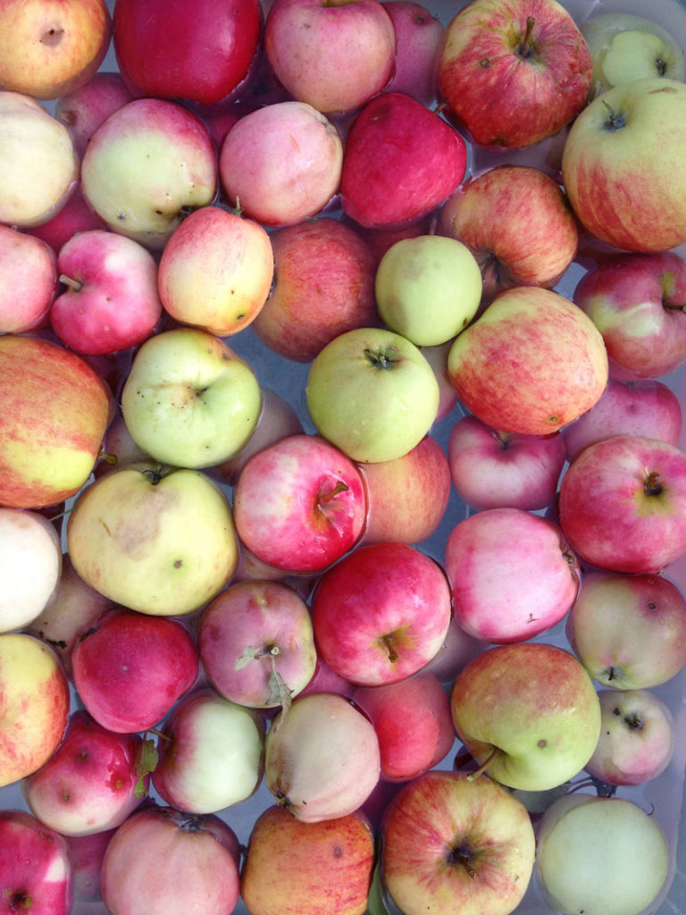 Apple juice from own garden