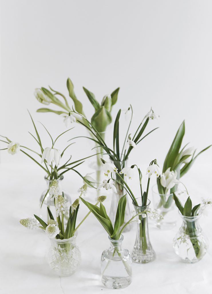 snowdrop in small vases